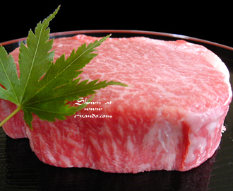 ���㋍A5�����q���X�e�[�L